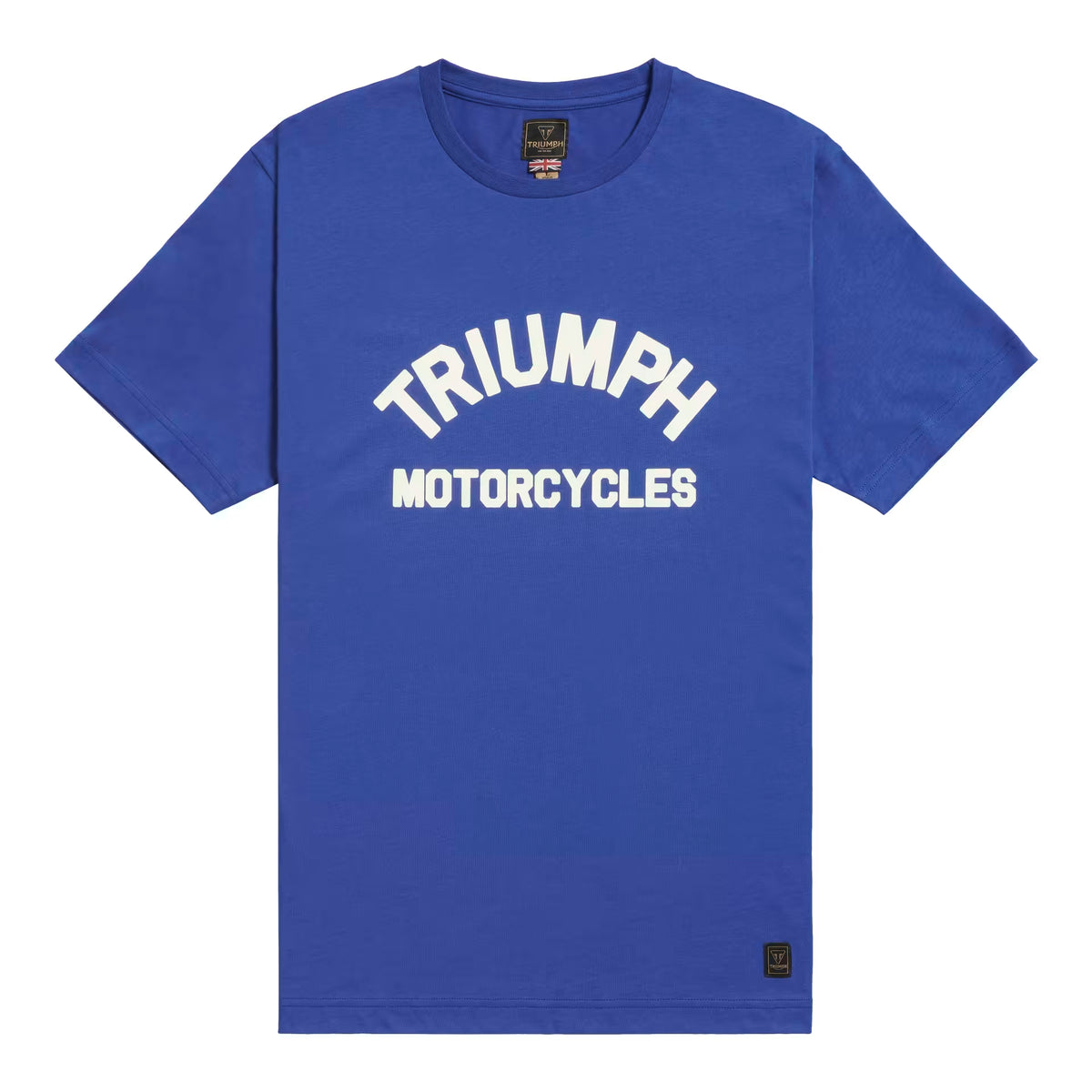 Burnham Arch Logo - Blue